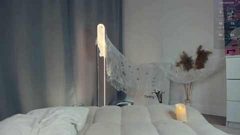 Media: lisaleev Stripchat 2024-10-30 08:35:00