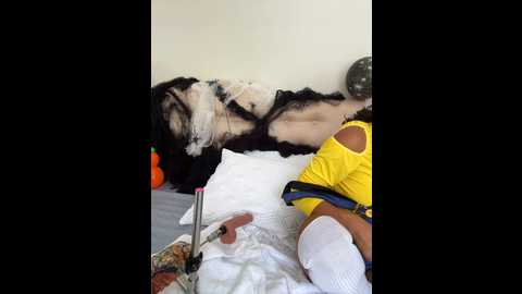 Media: sexi_noemi Stripchat 2024-10-31 17:16:00