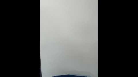 Media: brendacrean Stripchat 2024-11-01 10:56:00