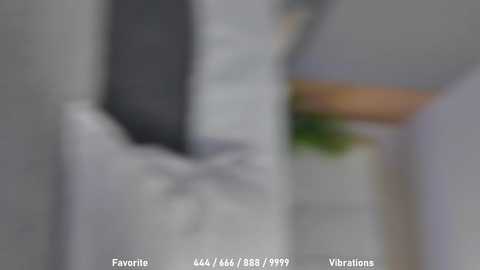 Media: celestara Stripchat 2024-11-01 10:02:00