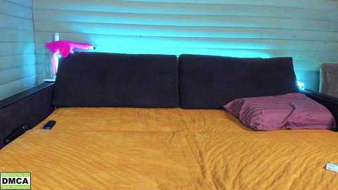Media: meowluv66 Stripchat 2024-11-01 16:59:00
