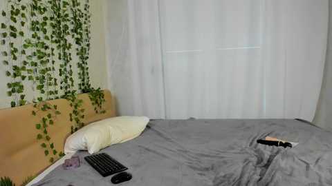 moon_ari @ stripchat on 20241101