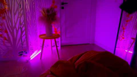 Media: stacy_wooow Stripchat 2024-11-01 00:57:00