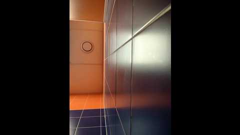 Media: morphine_666 Stripchat 2024-11-02 05:23:00