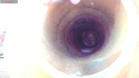 Media: nikkahotx Stripchat 2024-11-02 09:36:00