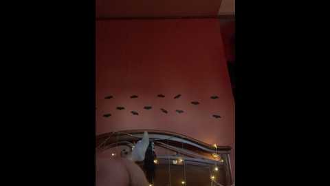 Media: pawsitive_panther Stripchat 2024-11-02 13:18:00
