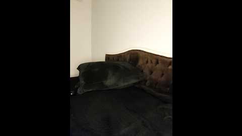 Media: _arab_milf_ Stripchat 2024-11-03 22:04:00