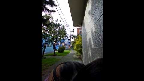 Media: alyshanon18 Stripchat 2024-11-03 20:46:00