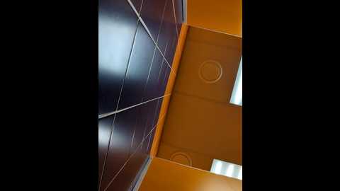 Media: morphine_666 Stripchat 2024-11-03 05:51:00