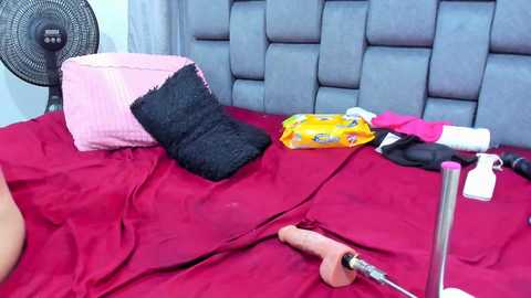 Media: couple_gold69 Stripchat 2024-11-04 16:14:00