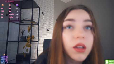 Media: lindafarmer Stripchat 2024-11-04 04:15:00