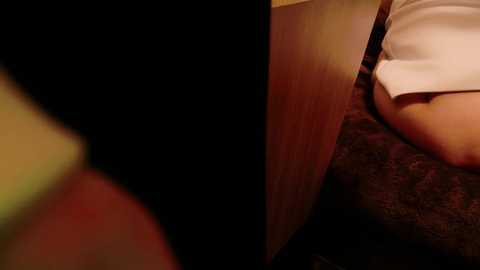 Media: jp_mint_oo_investigation_ Stripchat 2024-11-05 05:26:00
