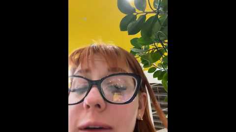 Media: lexy__foxy Stripchat 2024-11-05 18:10:00