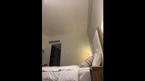 Media: luisabecker Stripchat 2024-11-05 22:16:00