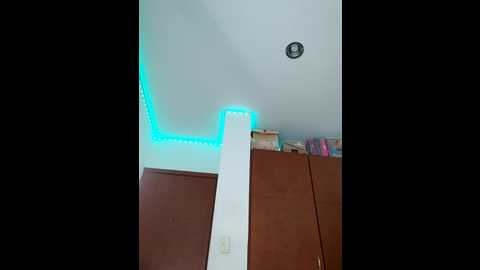 Media: shara_dreams Stripchat 2024-11-05 01:28:00
