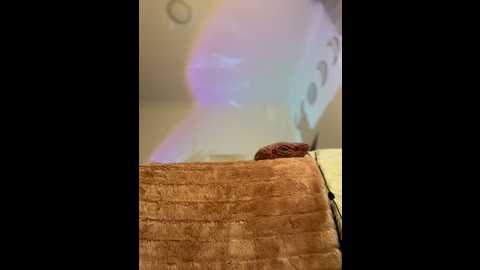 Media: alana15 Stripchat 2024-11-06 21:57:00