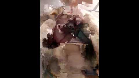 Media: mila_dream69 Stripchat 2024-11-06 10:08:00