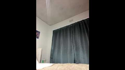 devinebaddie @ stripchat on 20241107