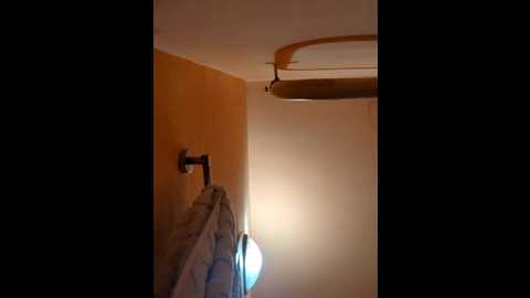 Media: morphine_666 Stripchat 2024-11-07 05:25:00