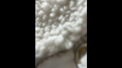 Media: _angelari_ Stripchat 2024-11-08 21:02:00