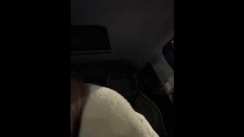 Media: _angelari_ Stripchat 2024-11-08 21:15:00