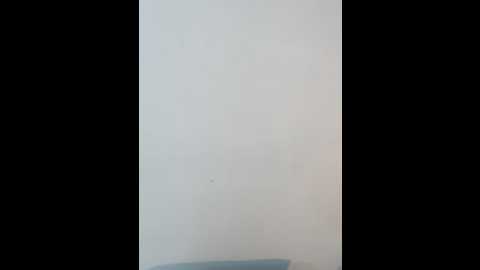 Media: brendacrean Stripchat 2024-11-08 17:58:00