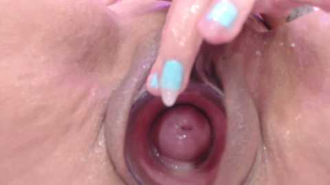 Media: jakelinekitty Stripchat 2024-11-09 22:29:00