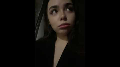 Media: pantyless Stripchat 2024-11-09 02:08:00