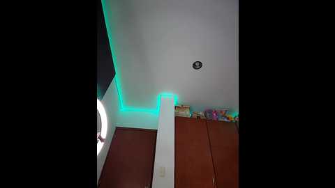 Media: shara_dreams Stripchat 2024-11-09 01:00:00