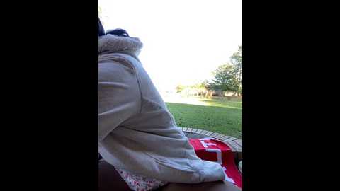 Media: sheenabrooke Stripchat 2024-11-09 19:48:00