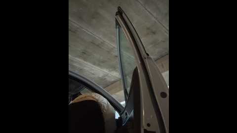 Media: _angelari_ Stripchat 2024-11-10 13:54:00
