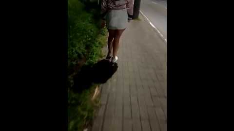 hahomybrendajha @ stripchat on 20241110