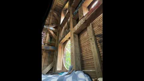 Media: justmila Stripchat 2024-11-10 13:12:00