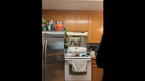 Media: ladylena1 Stripchat 2024-11-10 00:10:00