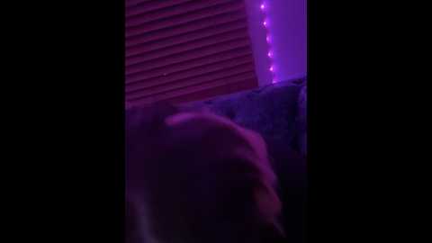 Media: littlemisseeve Stripchat 2024-11-10 01:52:00