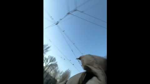 Media: sophie_avory Stripchat 2024-11-10 13:46:00