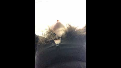 Media: unamiumiu Stripchat 2024-11-10 13:59:00