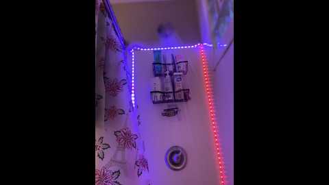 Media: annablisss Stripchat 2024-11-12 22:33:00