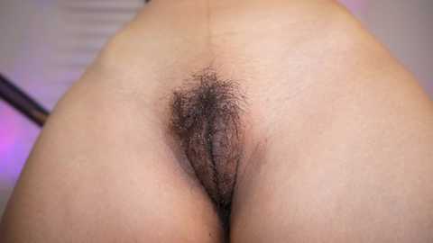 Media: ariadna5 Stripchat 2024-11-12 04:30:00