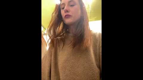 Media: dina_tease Stripchat 2024-11-12 13:58:00