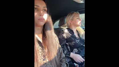 Media: keep_us_wild Stripchat 2024-11-12 05:48:00