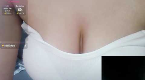 Media: meow_s2 Stripchat 2024-11-12 17:41:00