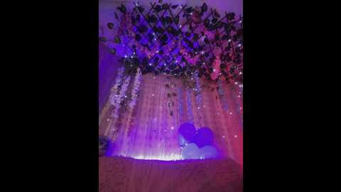 Media: seraphine23 Stripchat 2024-11-12 04:21:00