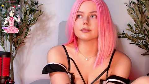 Media: akirarey Stripchat 2024-11-13 15:29:00