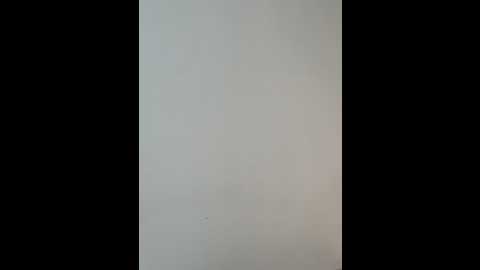 Media: brendacrean Stripchat 2024-11-13 12:23:00