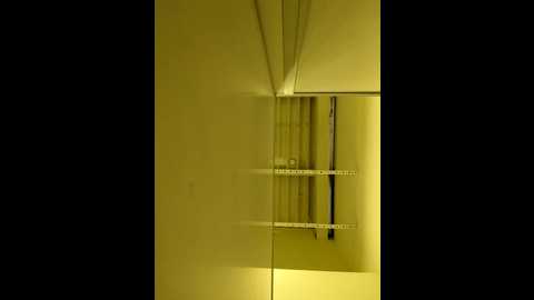 Media: morphine_666 Stripchat 2024-11-13 04:54:00