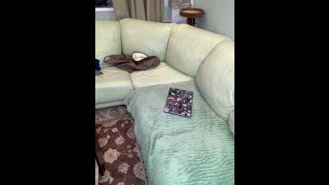 Media: pawsitive_panther Stripchat 2024-11-13 14:27:00