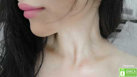 Media: baeasian Stripchat 2024-11-14 19:20:00