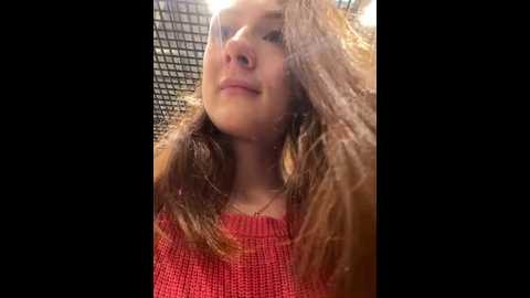 Media: dina_tease Stripchat 2024-11-14 08:20:00