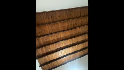Media: emiss_ Stripchat 2024-11-14 21:47:00